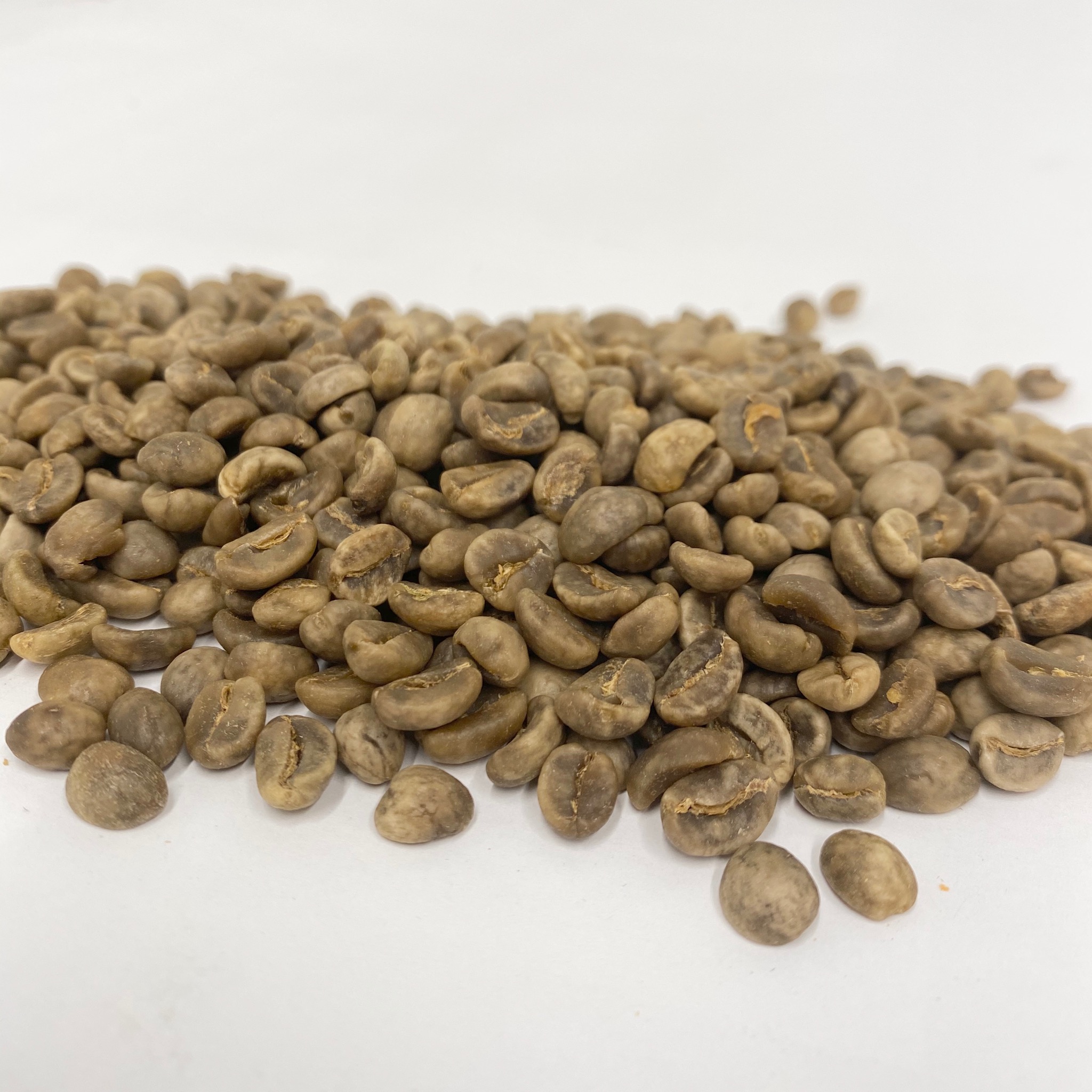 Decaffeinated Green Coffee Beans Coffee Bean Corral